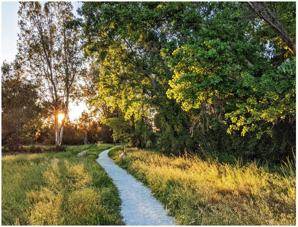 Ulistac Natural Area 1