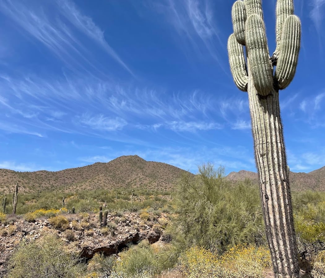 Sunrise Trail Group Hike 1