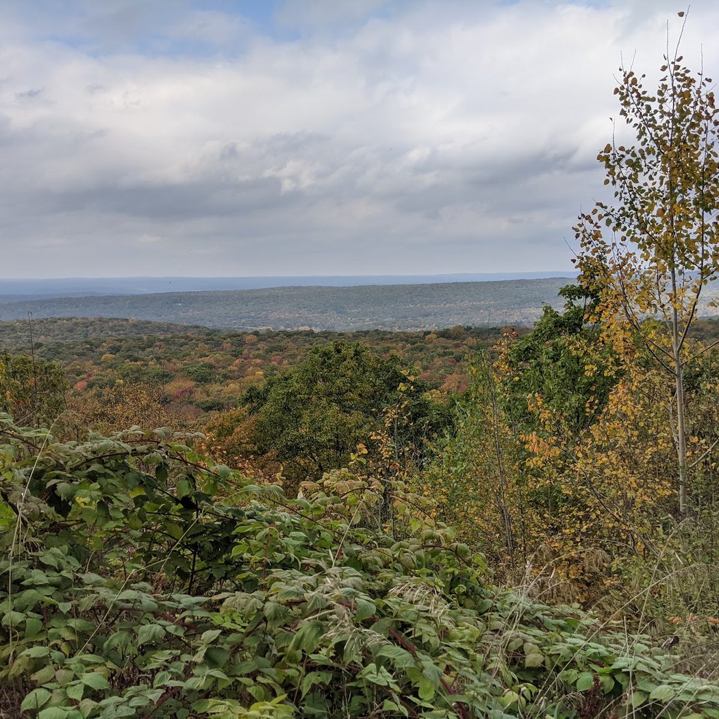 Stokes State Forest 2