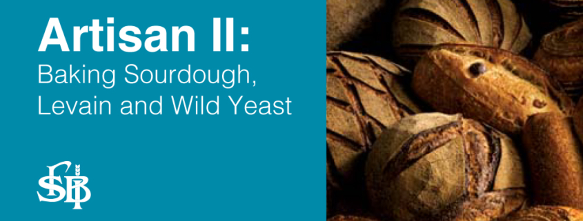 Artisan II: Baking Sourdough, Levain and Wild Yeast 1