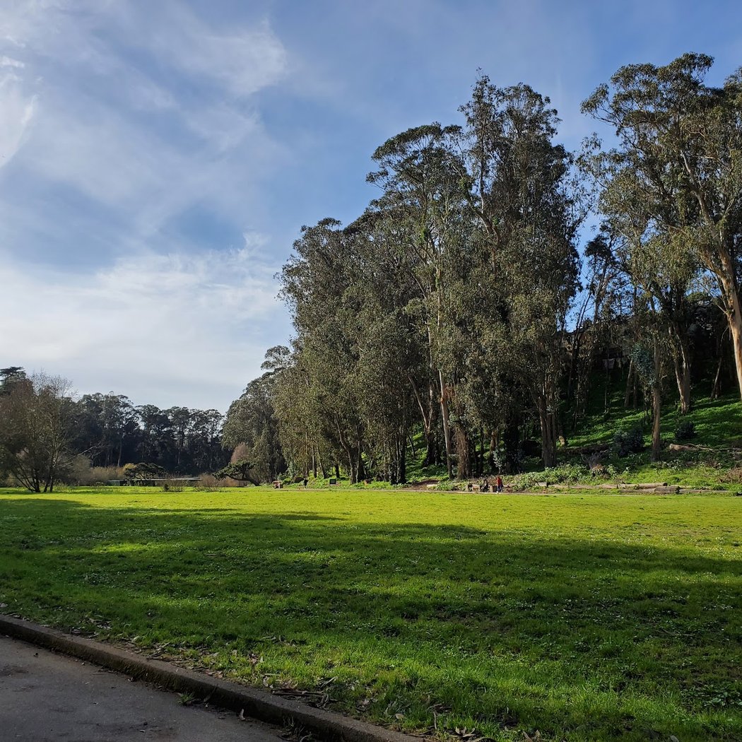 Pine Lake Park 2