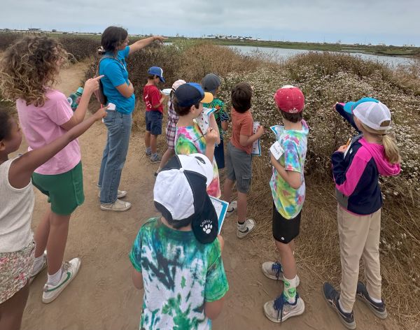 Summer Curiosity Club: Salty Scientists 3