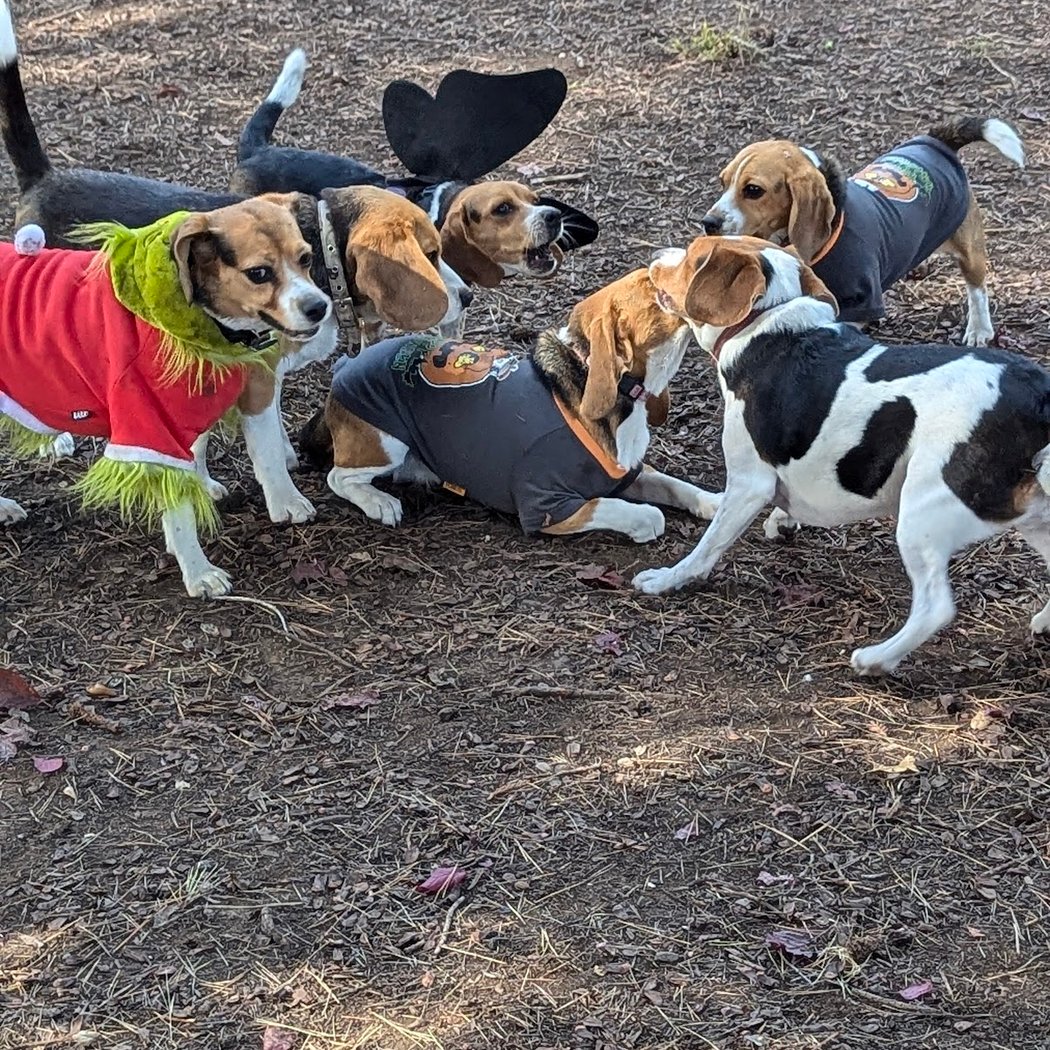 McKenzie Dog Park 3