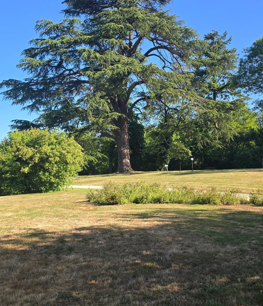 Printemps des jardiniers 2