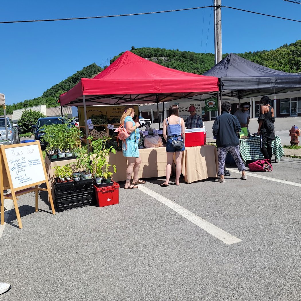 Port Jervis Farmers' Market 2