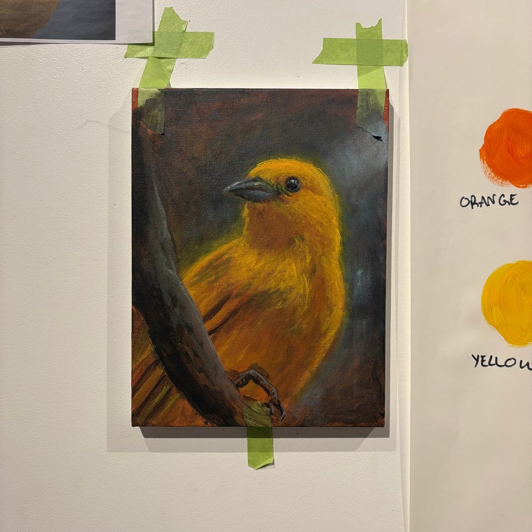 Acrylic Painting: Animal Portraits with Owen Geary 3