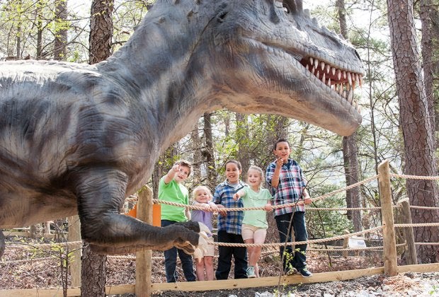Dino Fest 1