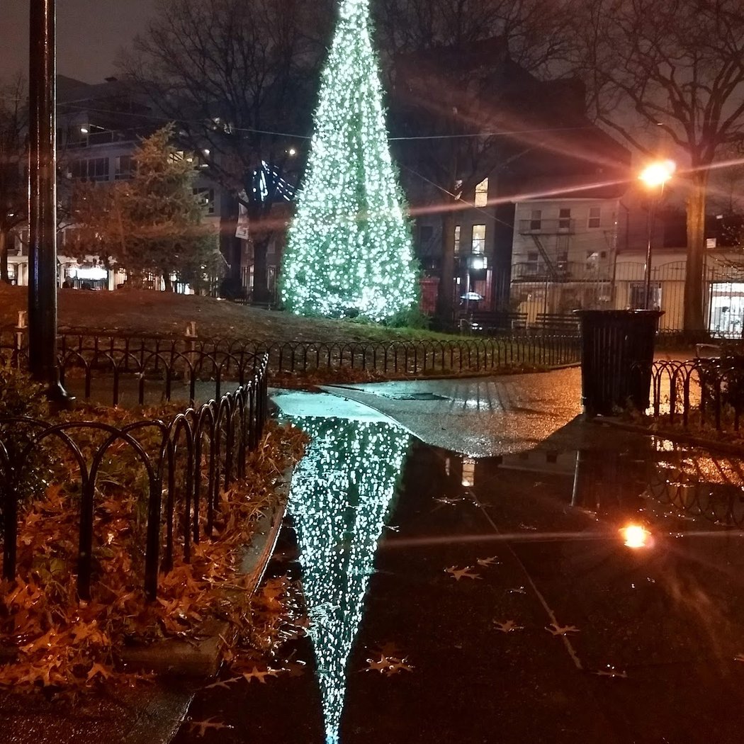 Tree Lighting Ceremony 1