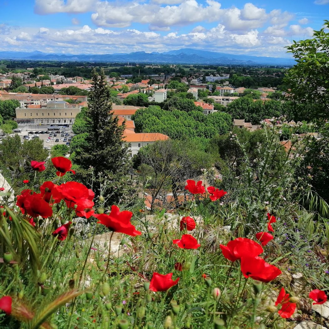 Colline Saint-Eutrope 1