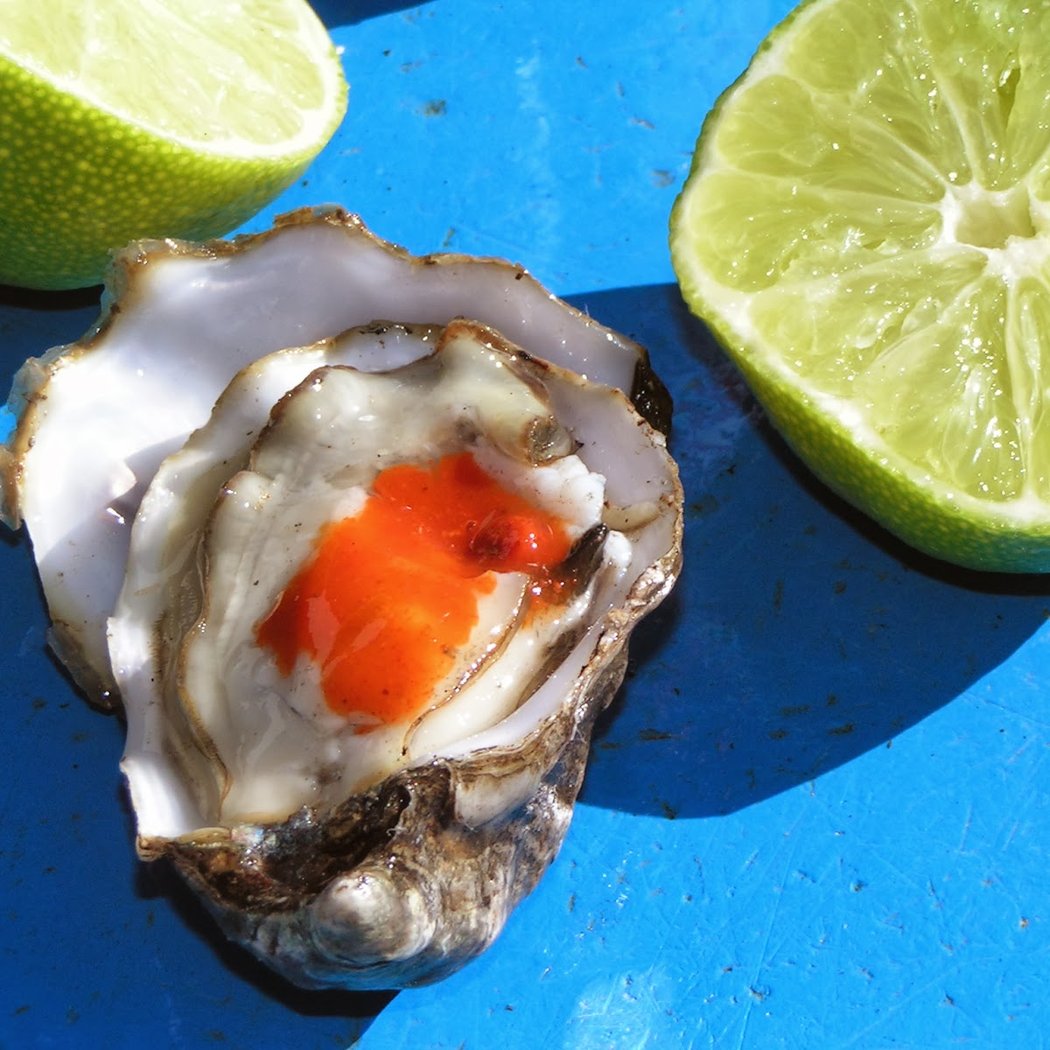 Tomales Bay Oyster Company