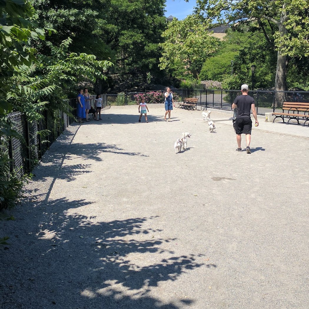 J. Hood Wright Park Dog Run 1