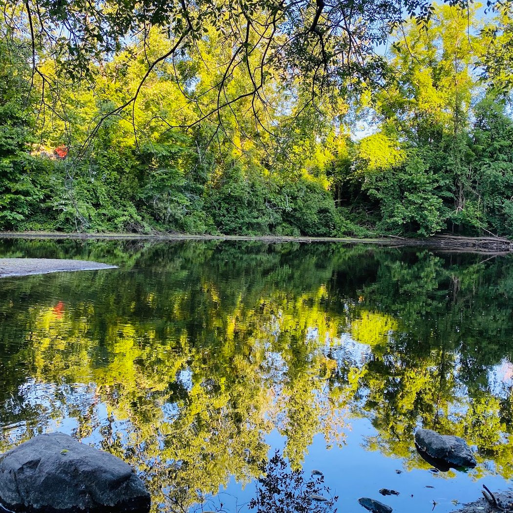 Norwalk River 1