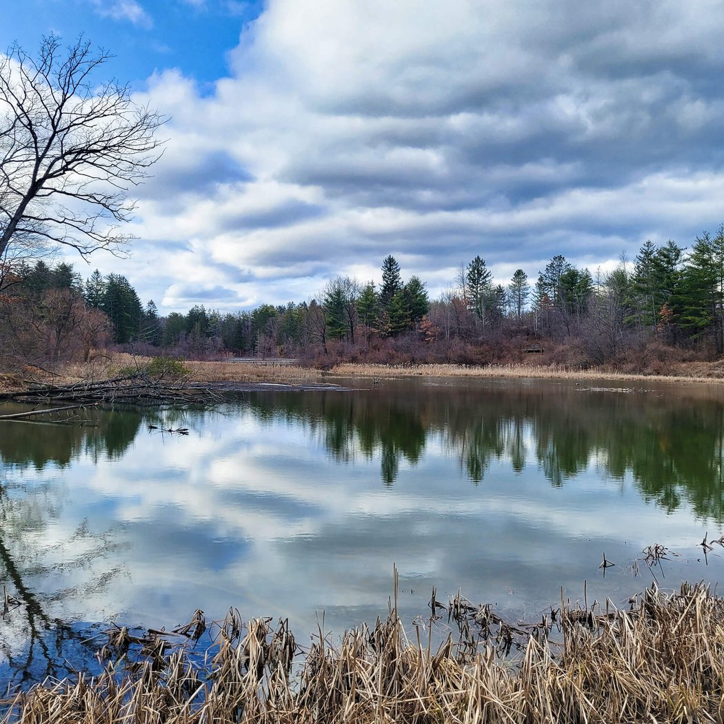 Five Rivers Environmental Education Center 3