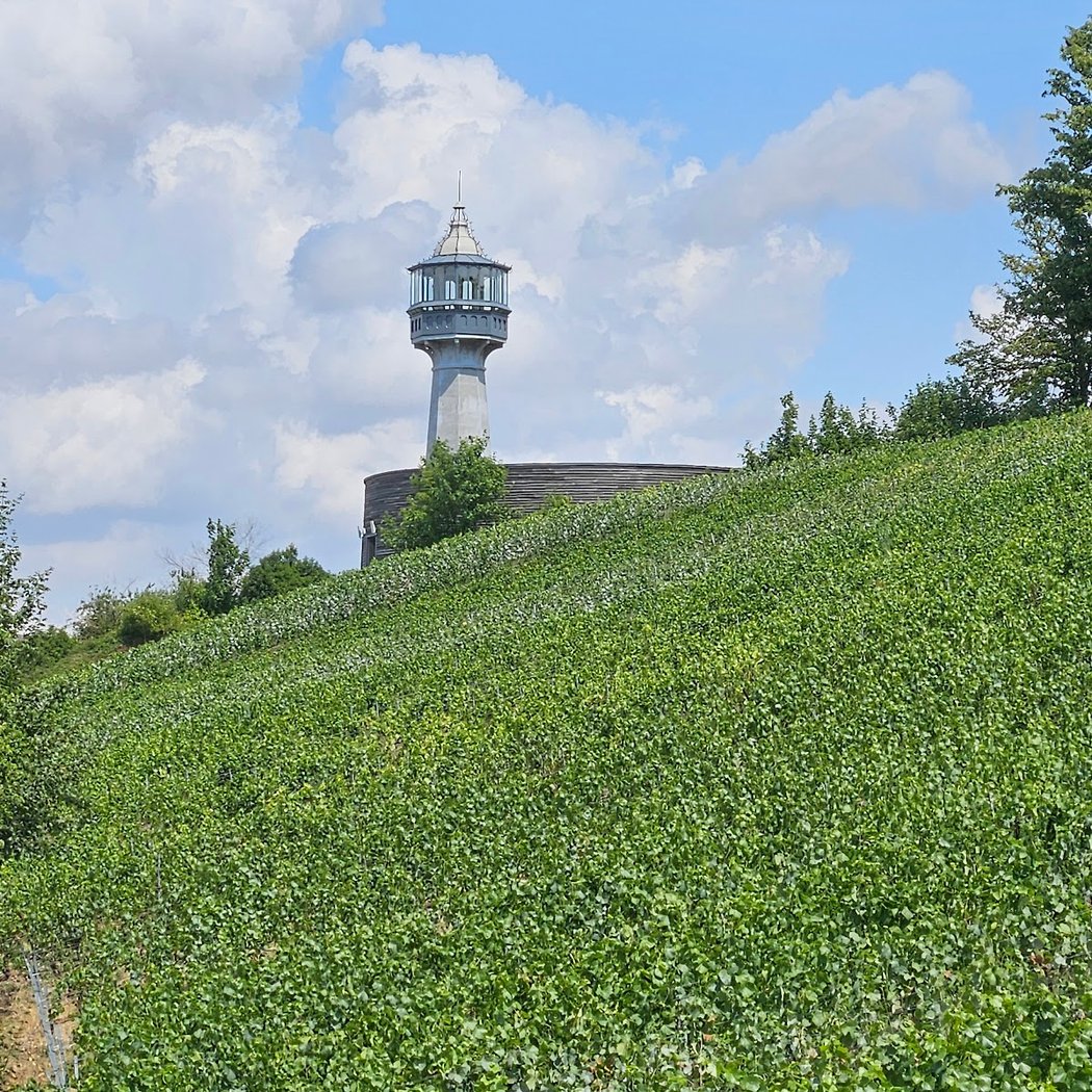 Montagne de Reims 3