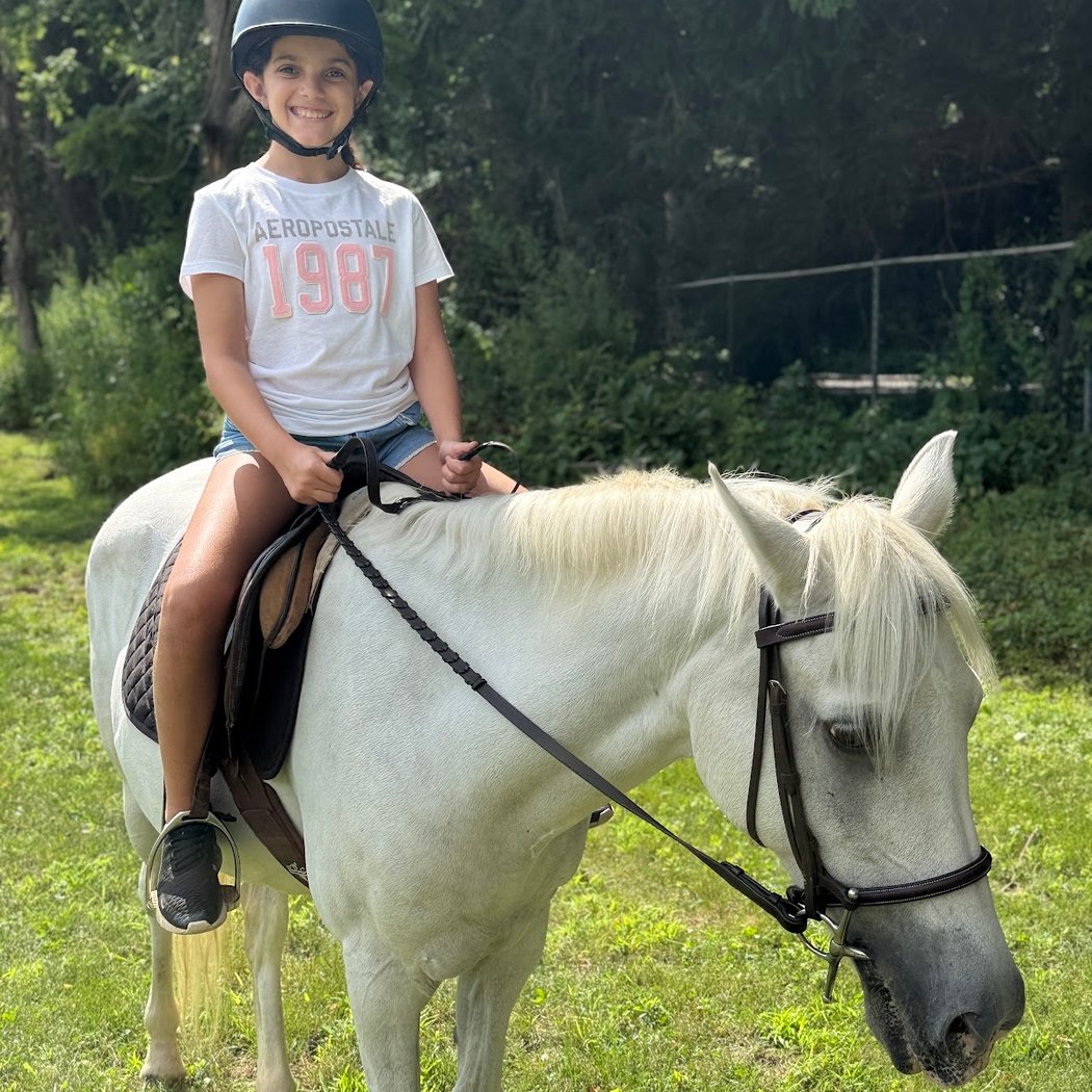 Gold Coast Equestrian 2