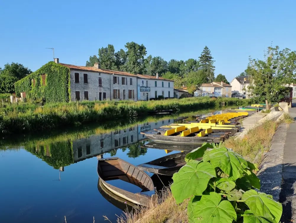 Coulon 3