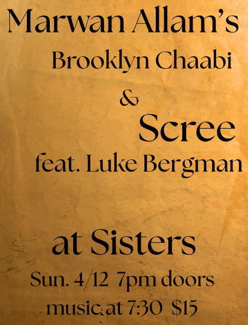 Brooklyn Chaabi & Scree feat. Luke Bergman 1