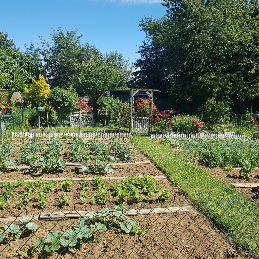 Jardins de la Saussaie 1