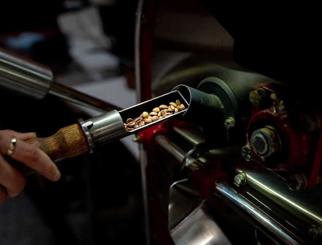 Class: Roasting For Beginners