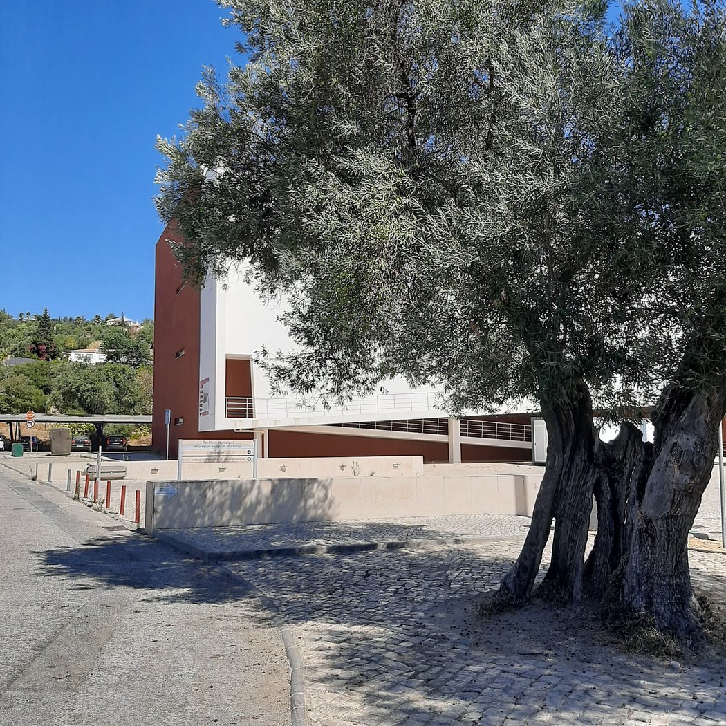 Loulé Cup 3