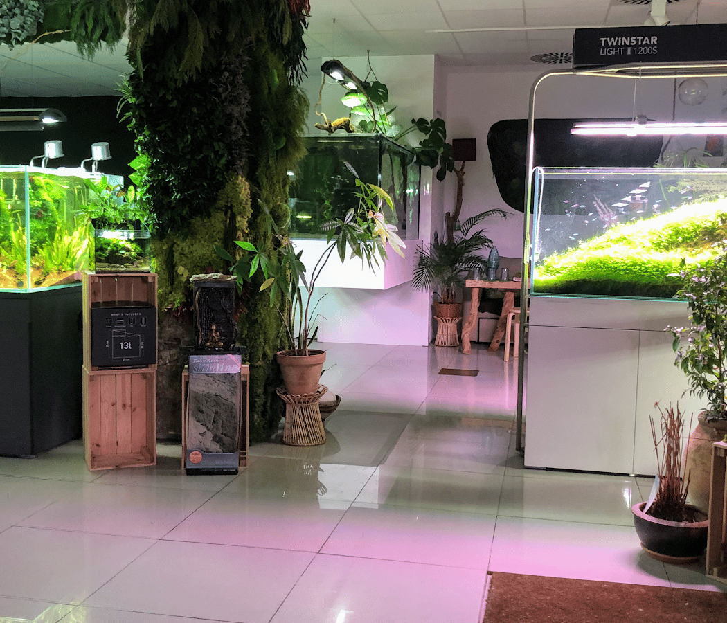 Kaminature - Jardines verticales, acuarios y césped artificial 3
