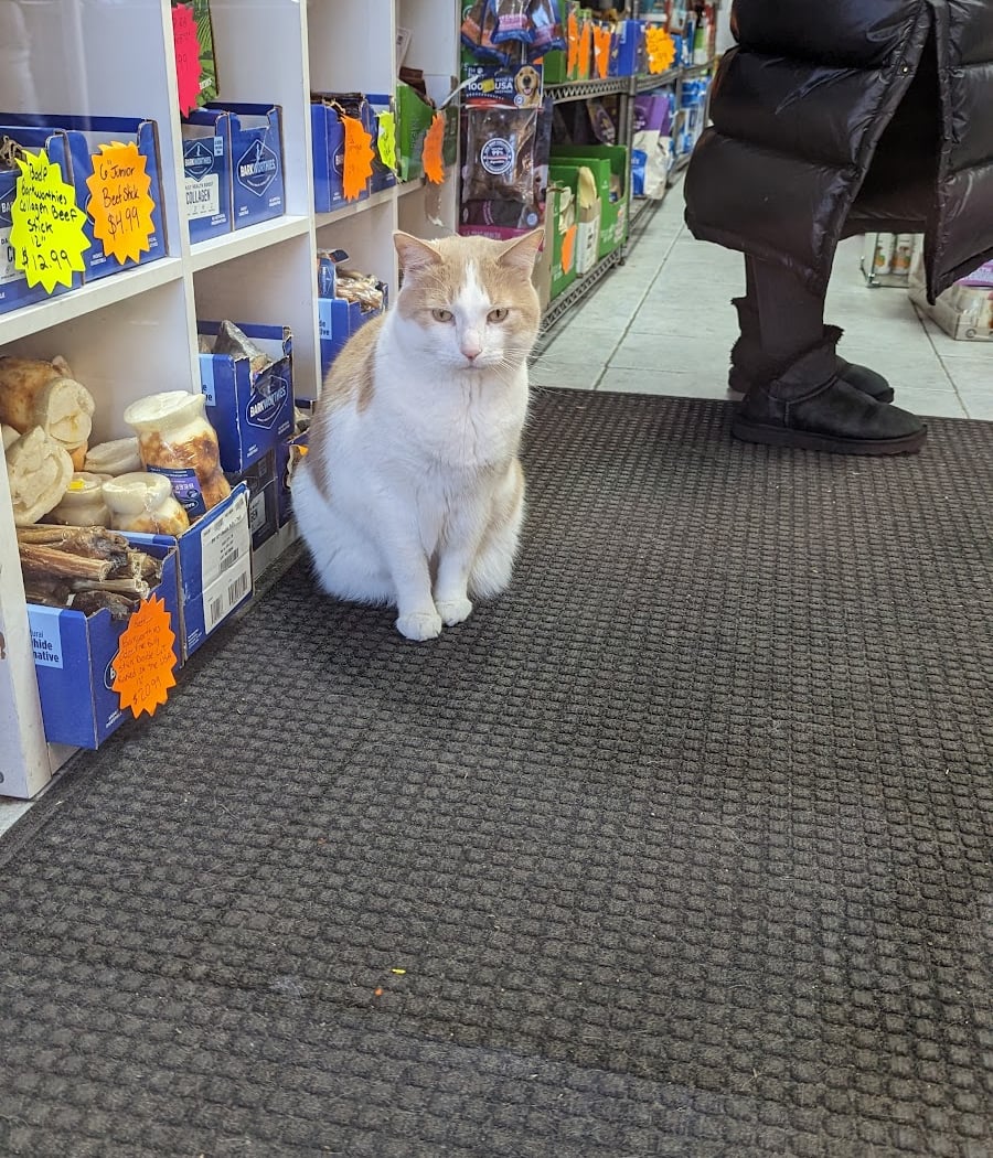 The Pet Market 4