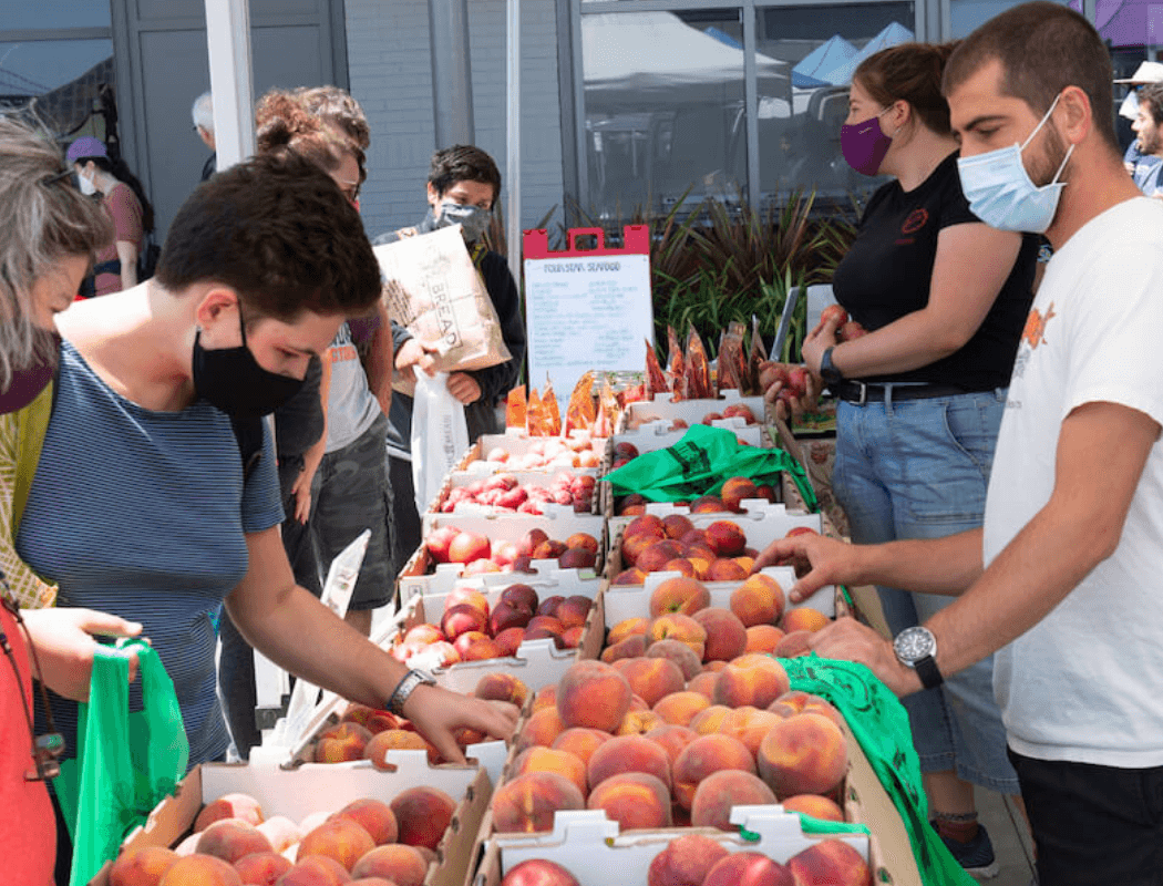 Farmer's Market 1