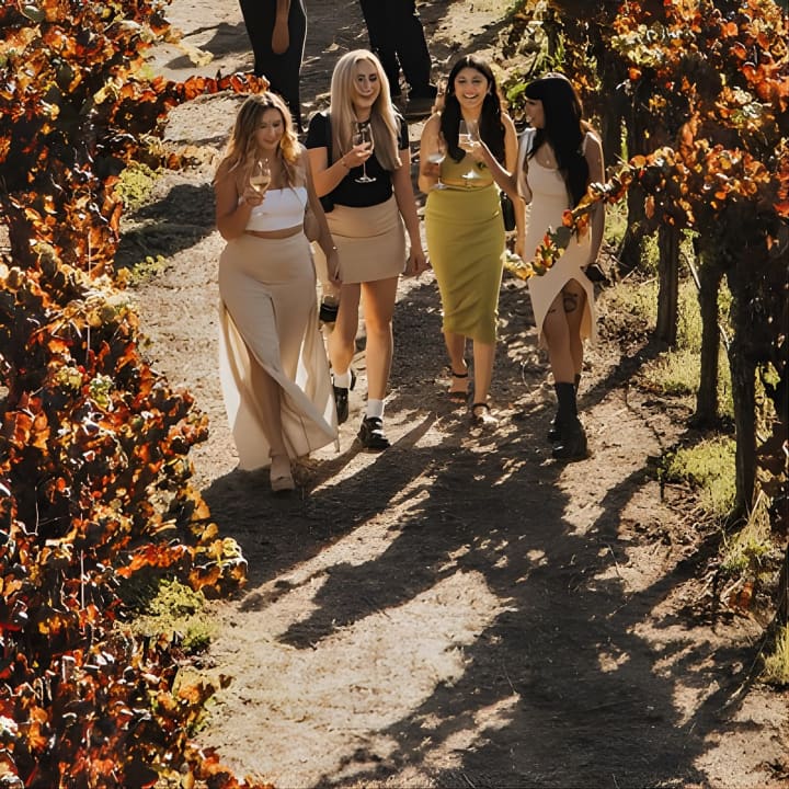 Small Group: The Ultimate Napa & Sonoma Wine Tour 1