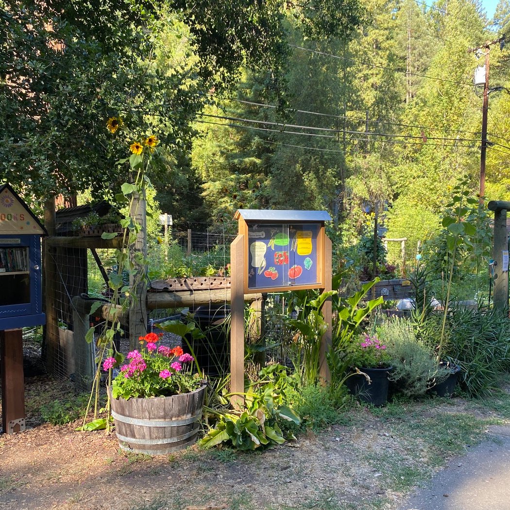 Sunrise Garden - Rio Nido Organic Community Center 1