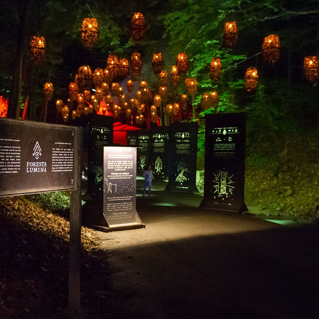 Foresta Lumina 2
