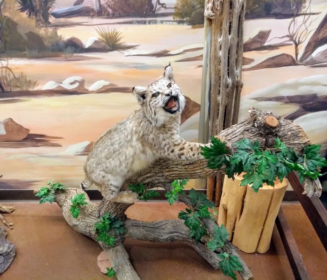 Chandler Nature Center 3