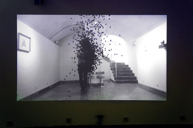Beating Wings, Insectes in Contemporary Art 1