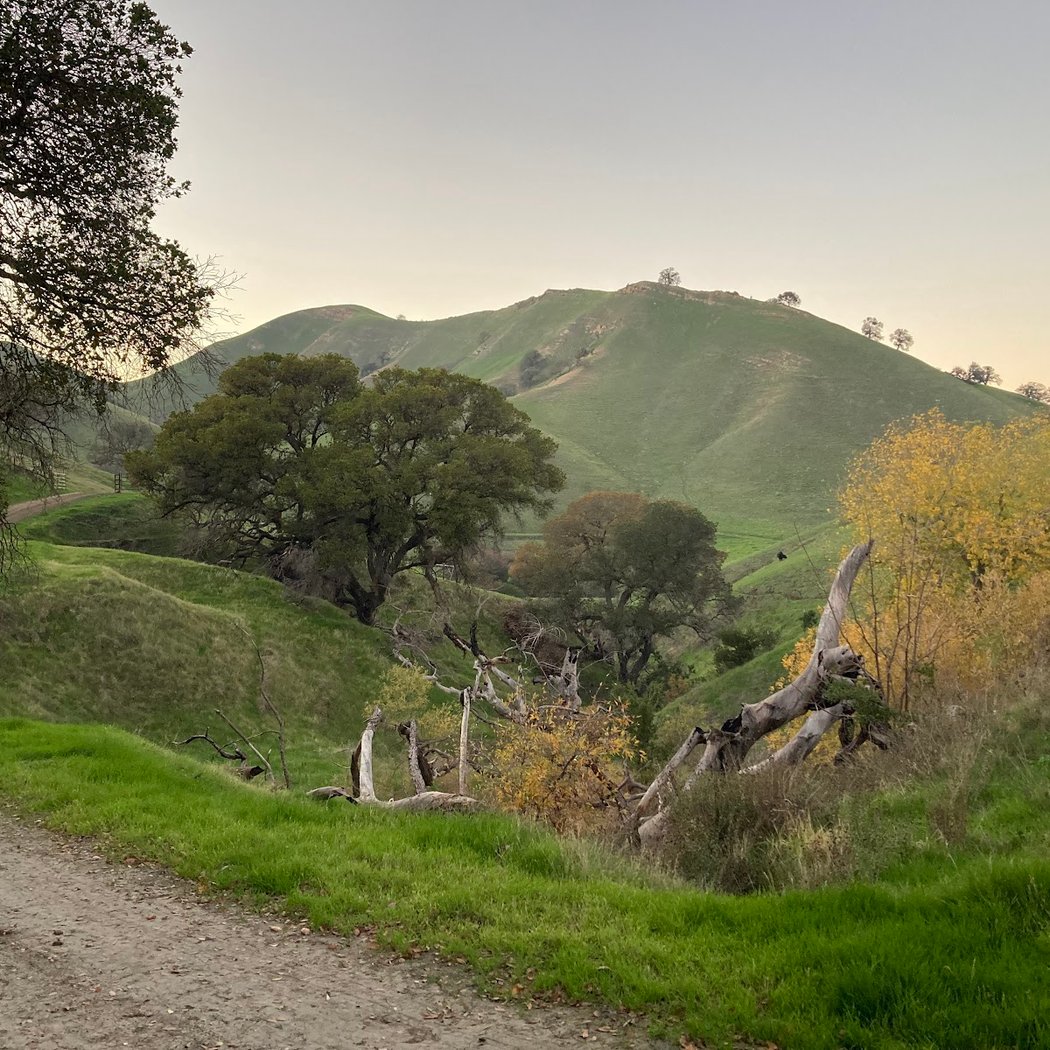 Contra Loma Regional Park 1