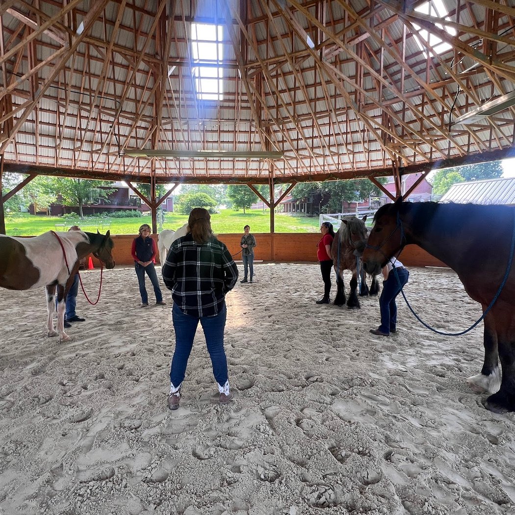 The Equus Effect 2
