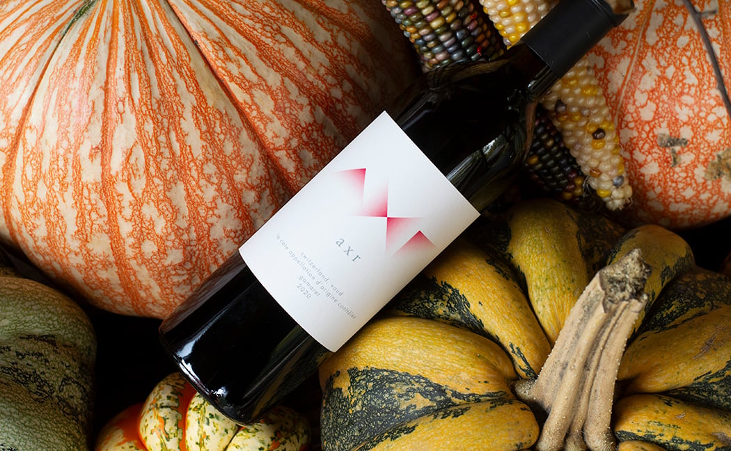 AXR Annual Harvest Celebration 1