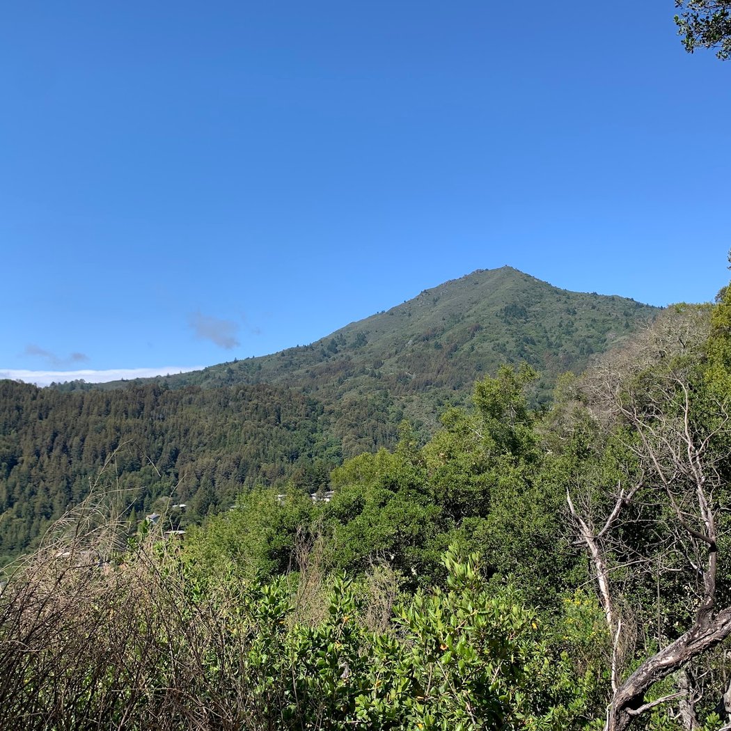 King Mountain Loop Trail 2