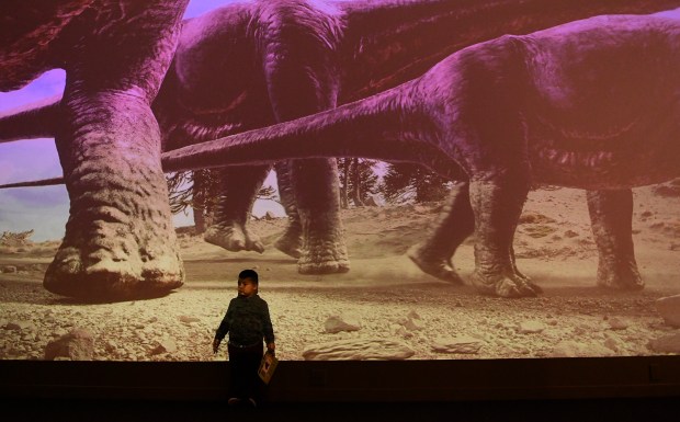 Dino Shadows 1