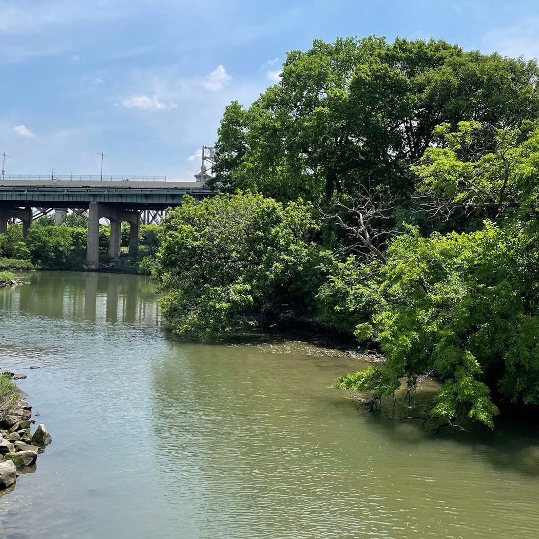 Little Hell Gate Salt Marsh 3