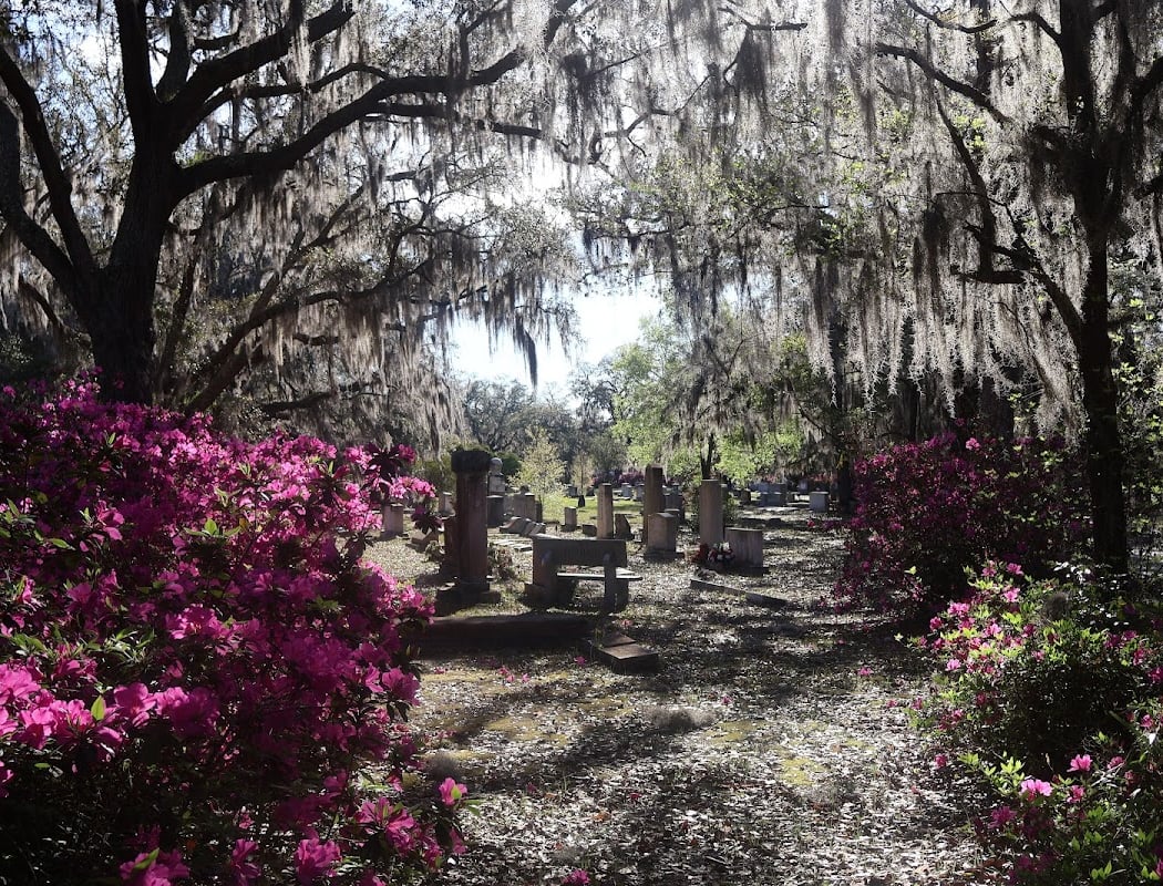 Bonaventure Cemetery 1