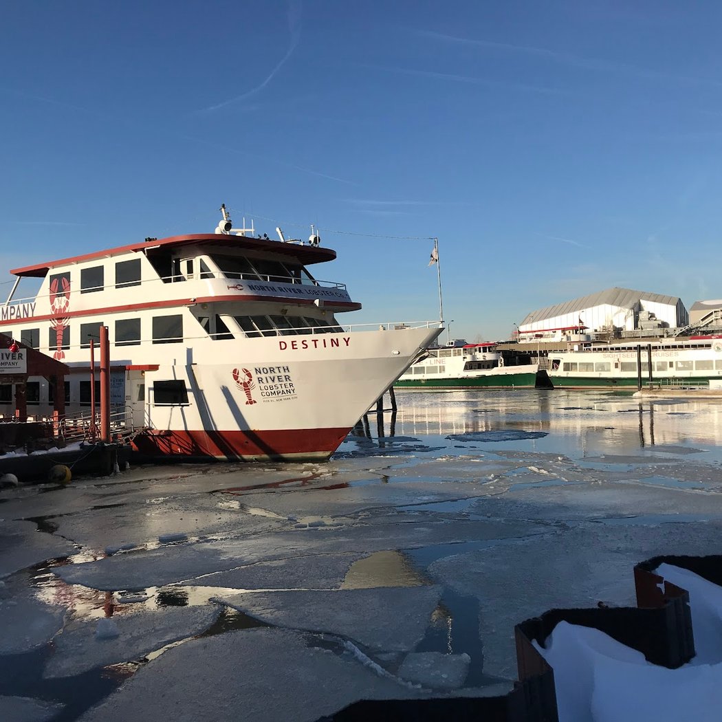 Pier 81 2