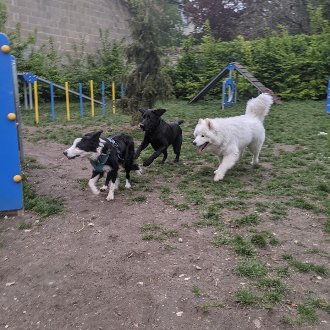 Parc Canins 3