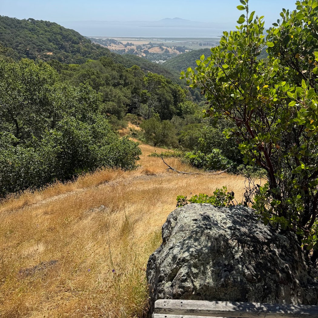 Marinwood Open Space 3