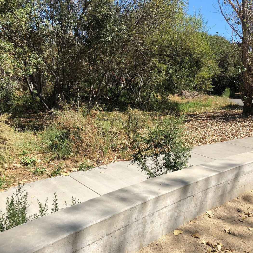 Baxter Creek Gateway Park 2