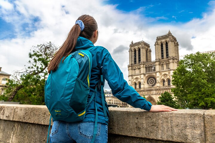 Paris Île de la Cité and Notre Dame Walking Tour With Crypt 1