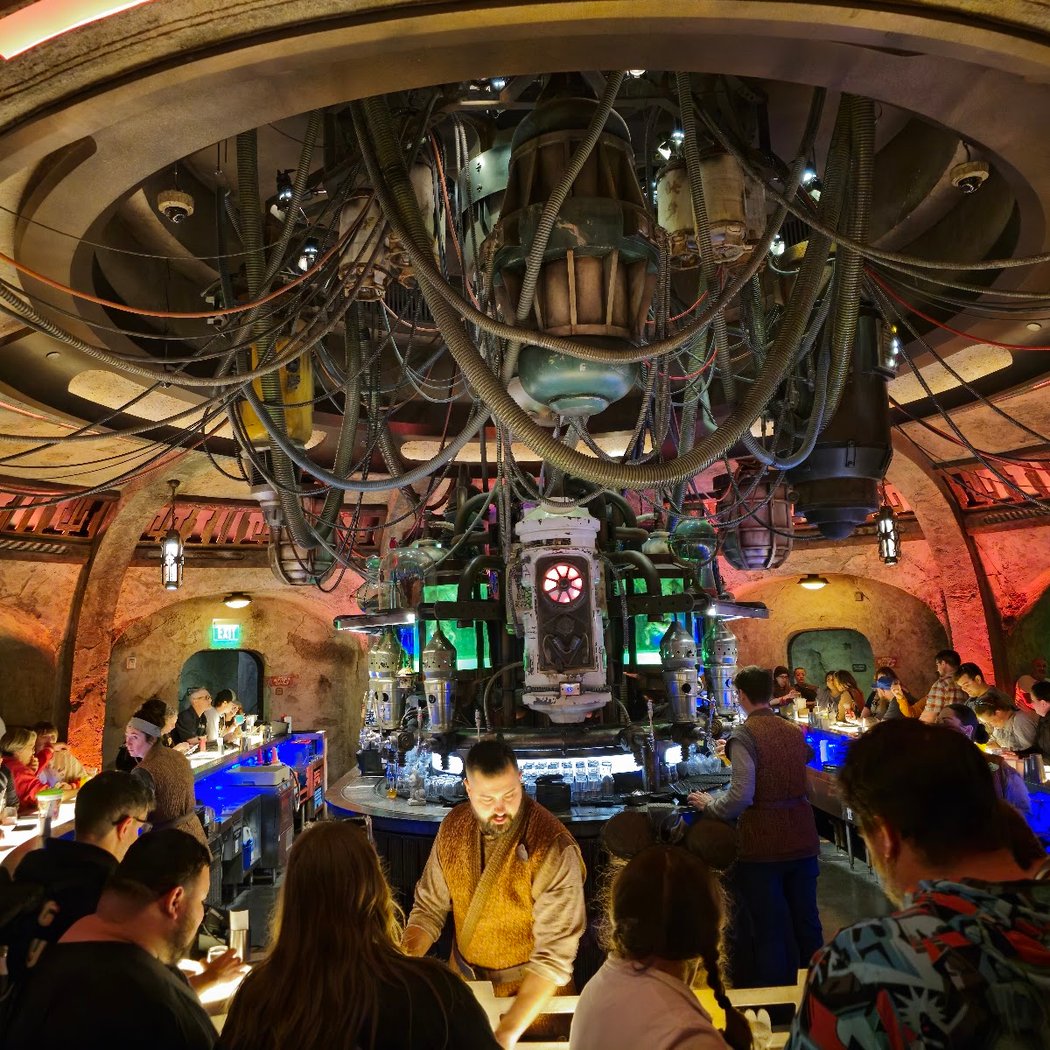 Oga's Cantina at the Walt Disney World Resort 3