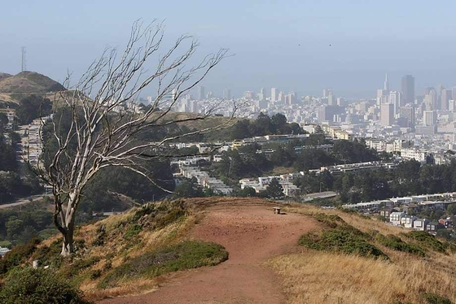Mt. Davidson Stroll Tour 2