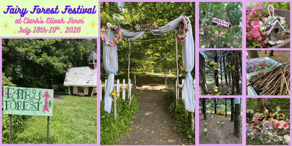 Fairy Festival 1