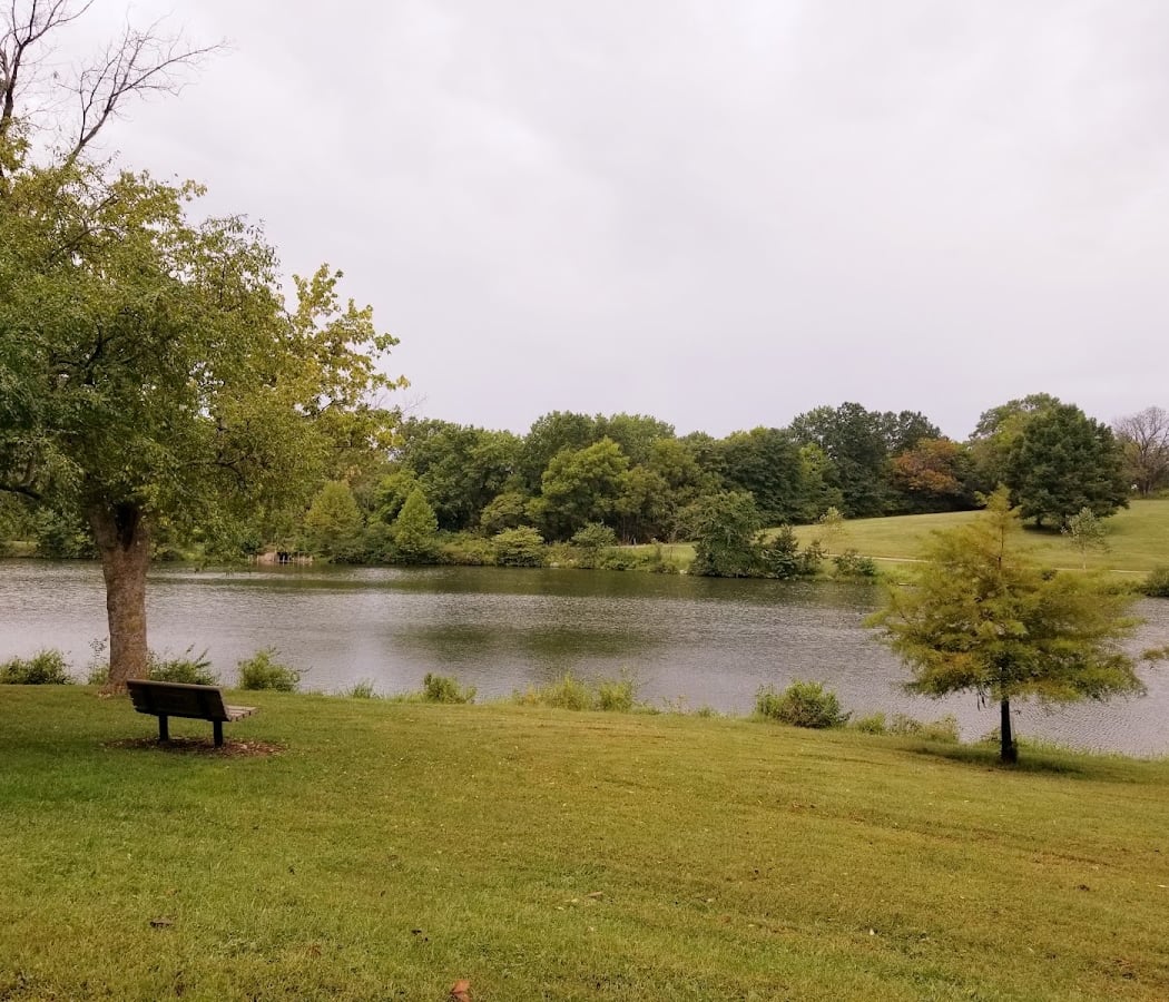 Guided Bird Walk at Bee Tree Park 2