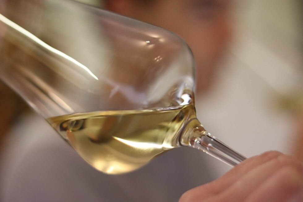 Tour de France des Vins Blancs 1