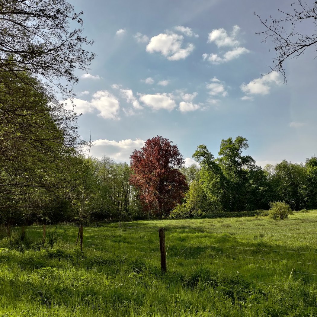 Promenade d'Ors 3